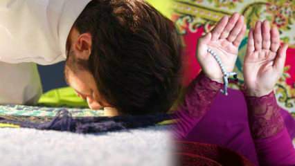 Cnoty modlitwy tarawih! Jak wykonywana jest modlitwa tarawih w domu? Czy tarawih wykonuje 8 rak'ah?
