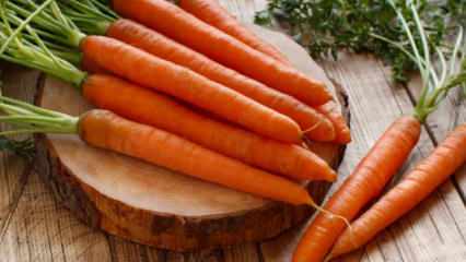 Jak uprawiać marchewki w doniczkach w domu? Metody uprawy marchwi w doniczkach