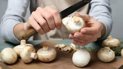 Jak obierać grzyby? Jak zapobiegać ciemnieniu grzybów, jakie są wskazówki