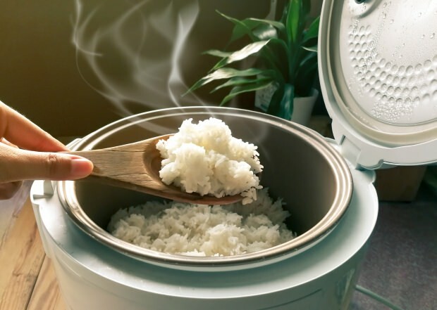 Jakie są cechy ryżu Baldo