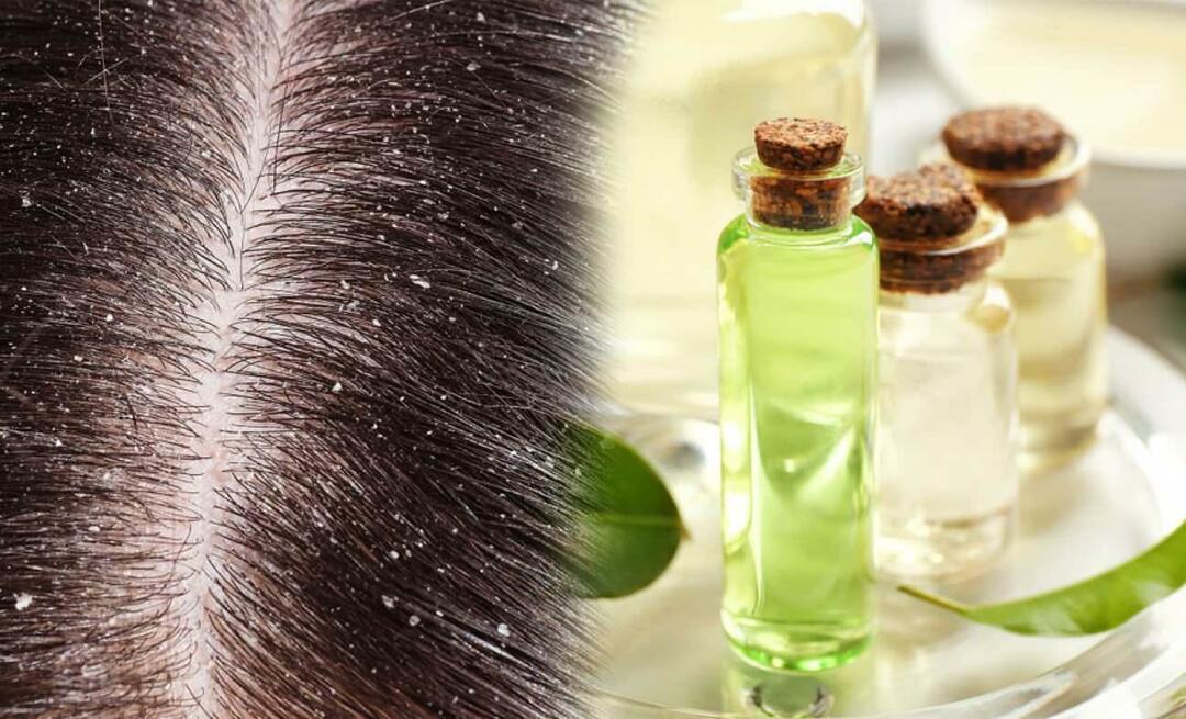 Czy można stosować olejek z drzewa herbacianego na łupież? Czy można nakładać olejek z drzewa herbacianego na włosy i czy jest on dobry?