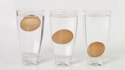 Jak rozumieć zepsute jajka?