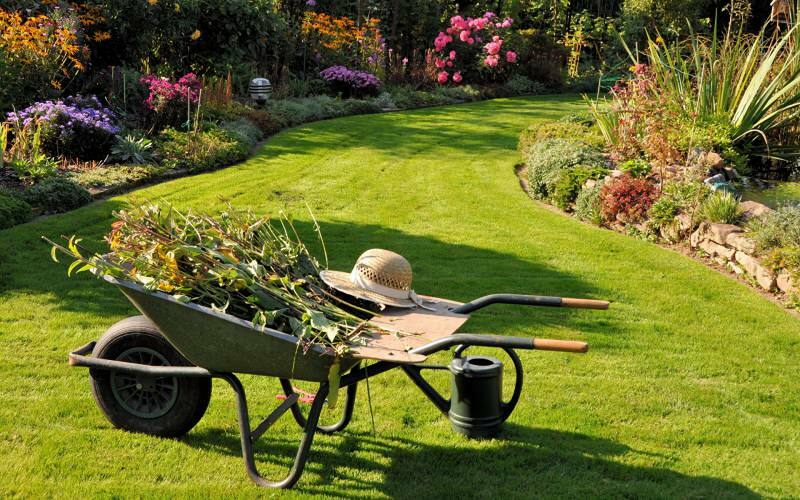 Jak przebiega czyszczenie ogrodu? Sugestie dotyczące sprzątania ogrodu i porządku!
