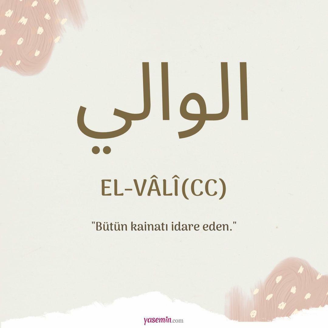 Co oznacza al-Vali (c.c.)?