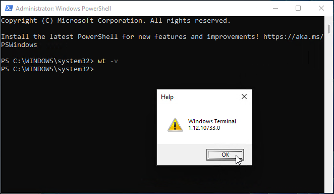 wersja terminala Windows