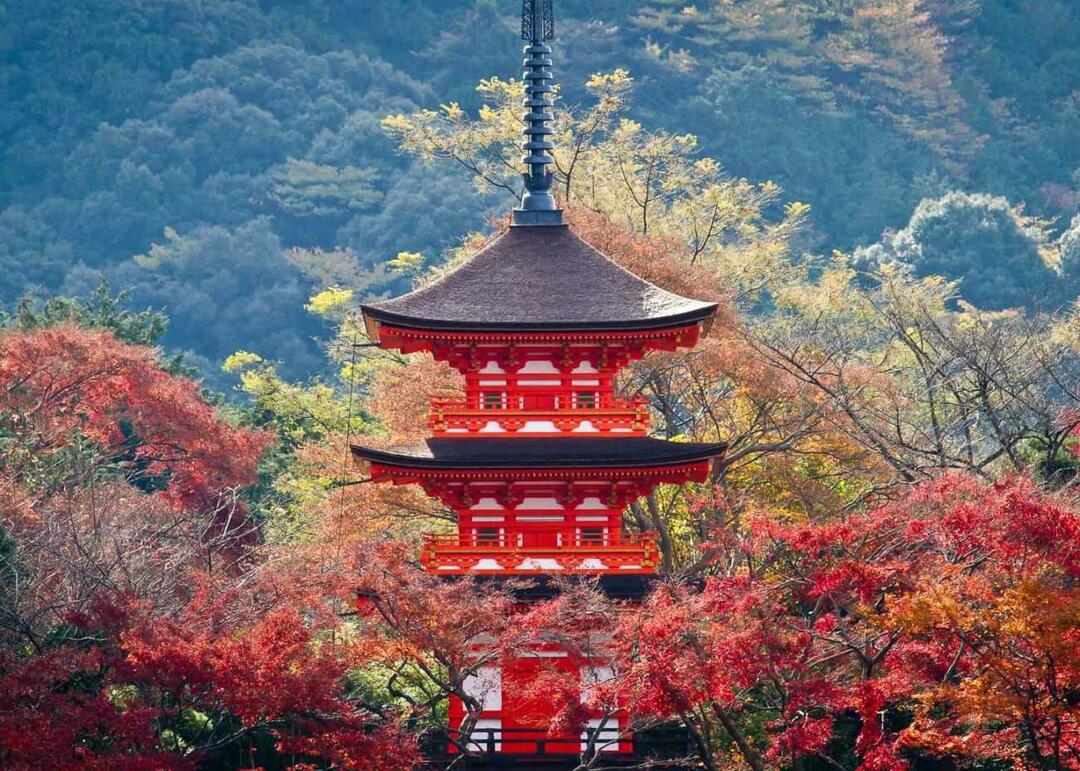 Panoramę Kioto