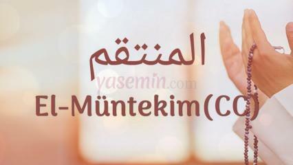 Co oznacza Al-Muntakim (cc)? Jakie są cnoty Al-Muntakima (cc)?