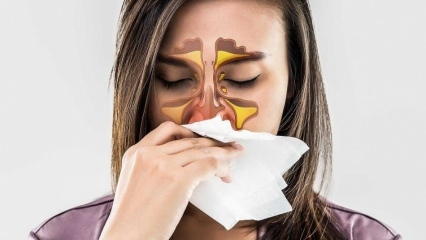 Co to jest alergia? Jakie są objawy alergicznego nieżytu nosa? Ile jest rodzajów alergii? 