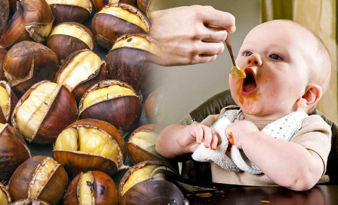 Czy niemowlęta mogą jeść kasztany? Jak zrobić pudding z kasztanów?