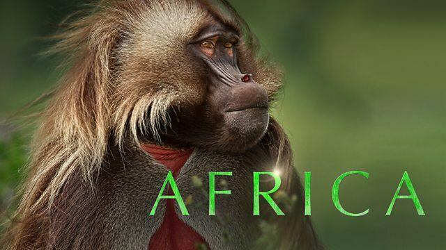Afryka / Afryka (2013)