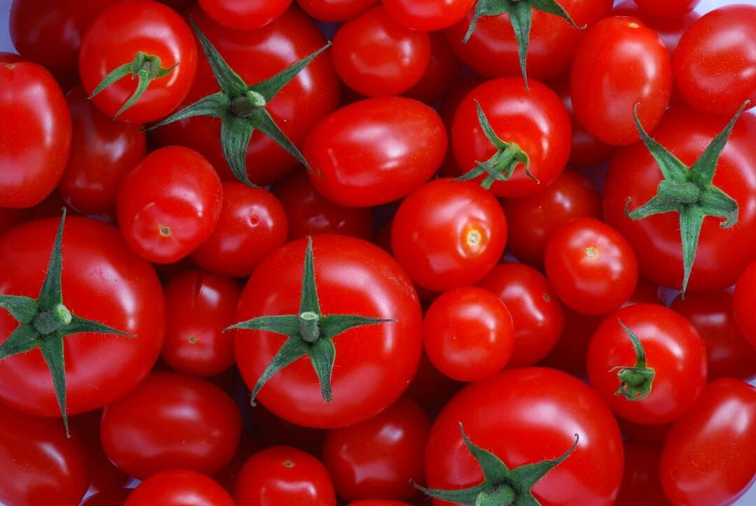 Jak wybrać pomidory menemenlik