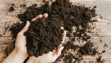 Jaka powinna być gleba doniczkowa? Co to jest mech torfowy (Torfowisko)?