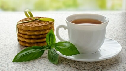 Jakie są zalety bazylii? Jak zrobić herbatę bazyliową?