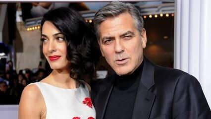 Wymarzona para George Clooney i Clooney Alamuddin rozwodzą się!