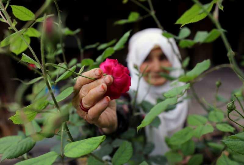 83-letnia babcia Ayşe, która pokonała Kovid-19, robi pachnące różą dżemy!