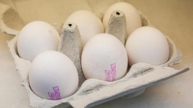 Jak rozumie się ekologiczne jajo? Co oznaczają kody jajka?