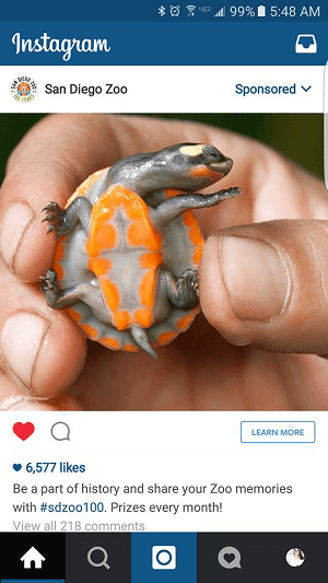 zoo reklama na Instagramie
