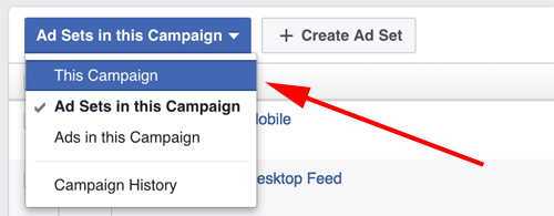 Menedżer reklam na Facebooku wybiera kampanię
