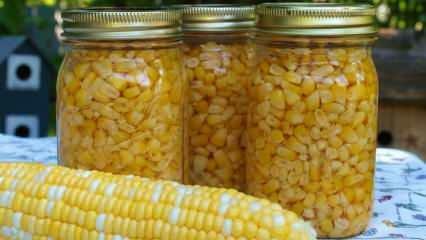 Jak przechowuje się kukurydzę? Najłatwiejsze metody przechowywania kukurydzy! Przygotowanie kukurydzy ozimej