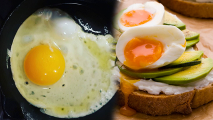 Które oleje są korzystne dla naszego zdrowia? Jeśli spożyjesz niedogotowane jajko ...