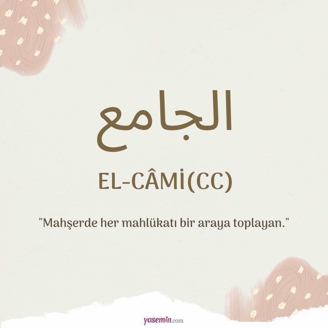 Co oznacza Al-Cami (cc)?