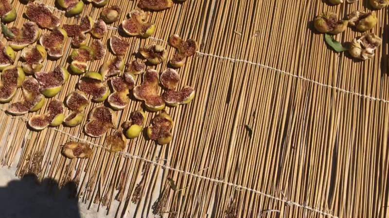 Jak suszy się figi? Metoda suszenia fig w domu! Warunki przechowywania rys. ...