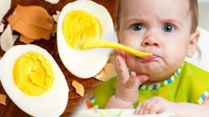 Jak żółtka powinny być podawane dzieciom? Ile miesięcy zacząć jajko? Przepis na jajko jajeczne
