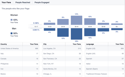 dane demograficzne fanów na Facebooku