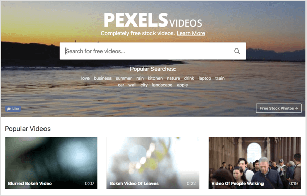 Pexels oferuje bezpłatne wideo stockowe, które można wykorzystać w reklamach wideo na LinkedIn.
