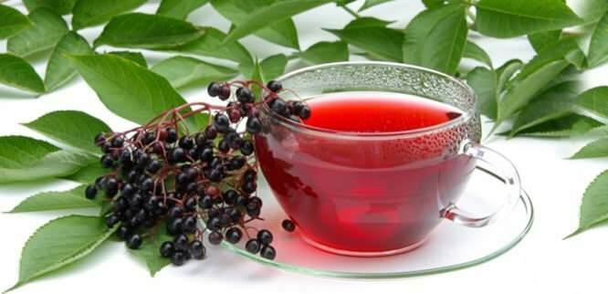 herbata z czarnego bzu zapewnia niesamowite korzyści dla układu odpornościowego