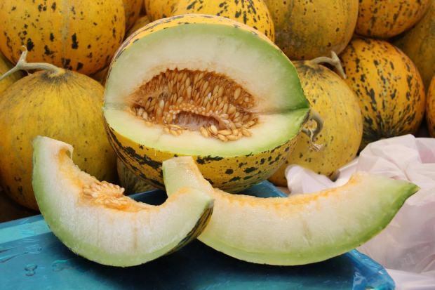 Czy melon może przybrać na wadze, ile kalorii to melon? Metoda odchudzania z dietą melonową! 5 kilogramów w 5 dni ...
