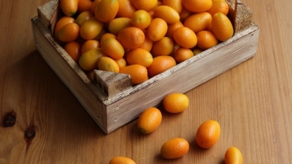 Jakie są zalety Kumquat (Kumkat)? Jakie choroby są dobre dla kumkwatu? Jak spożywa się kumkwat?