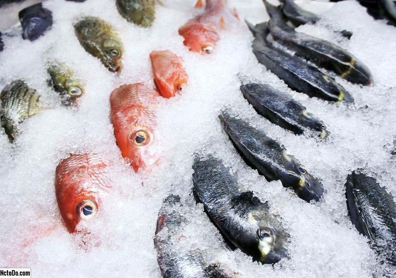 Jak przechowywać ryby w zamrażarce