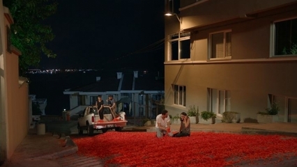 Propozycja małżeństwa Onura Tuny ze 100 tysiącami liści róży!