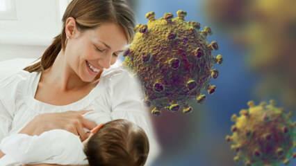 Czy koronawirus przenosi się z mleka na dziecko? Uwaga dla przyszłych matek podczas procesu pandemii! 