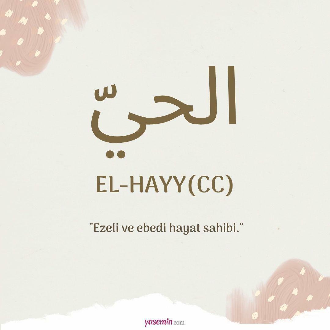 Co oznacza al-Hayy (c.c.)?