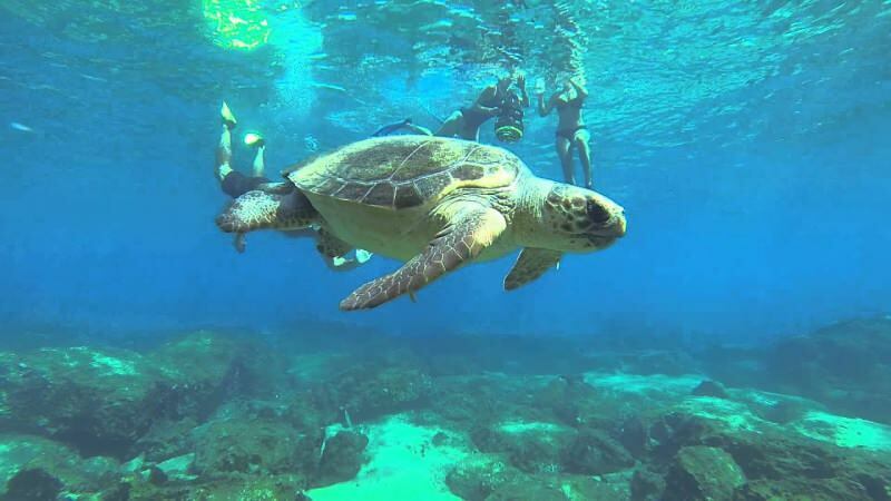 4 specjalne trasy do nurkowania pod wodą! najpiękniejsze miejsca do nurkowania w Turcji