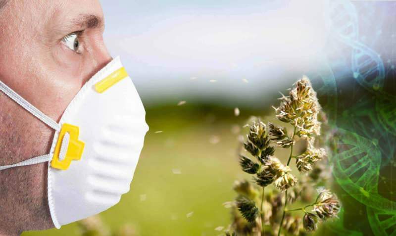 zwiększona alergia na pyłki