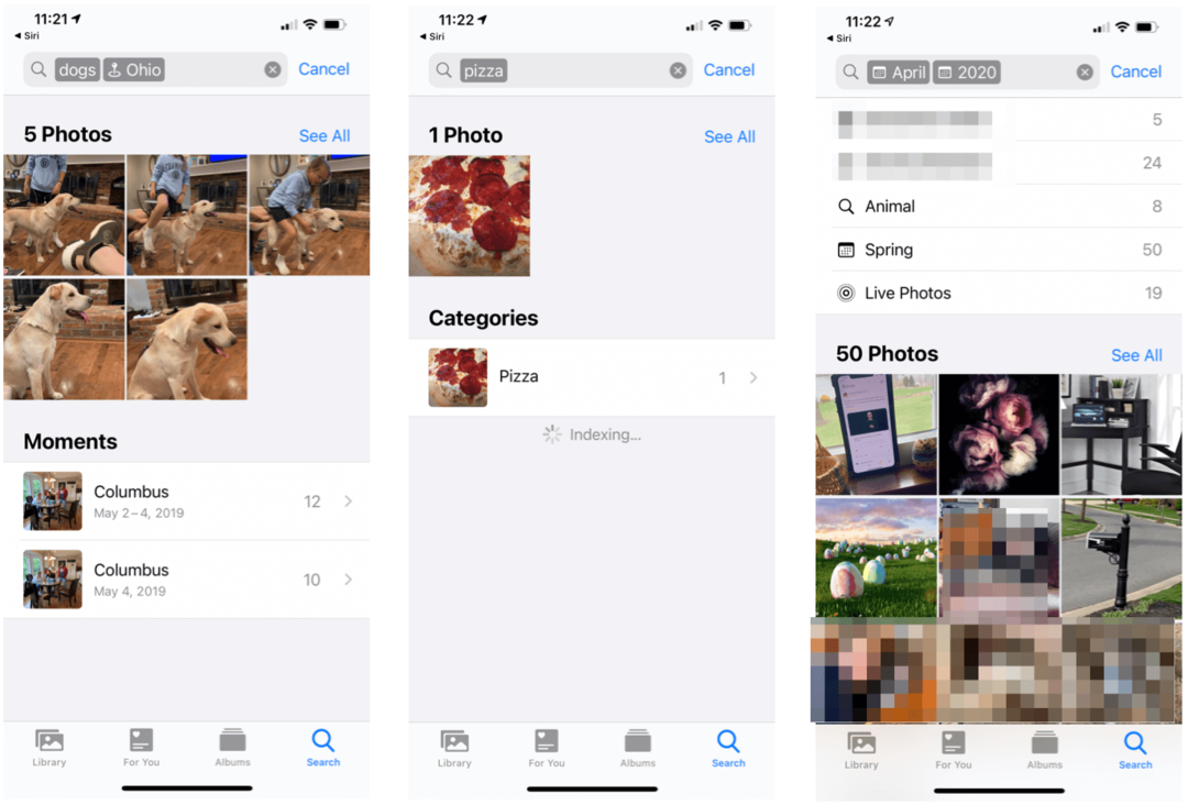 Jak wyszukiwać obiekty w zdjęciach na iPhonie i iPadzie