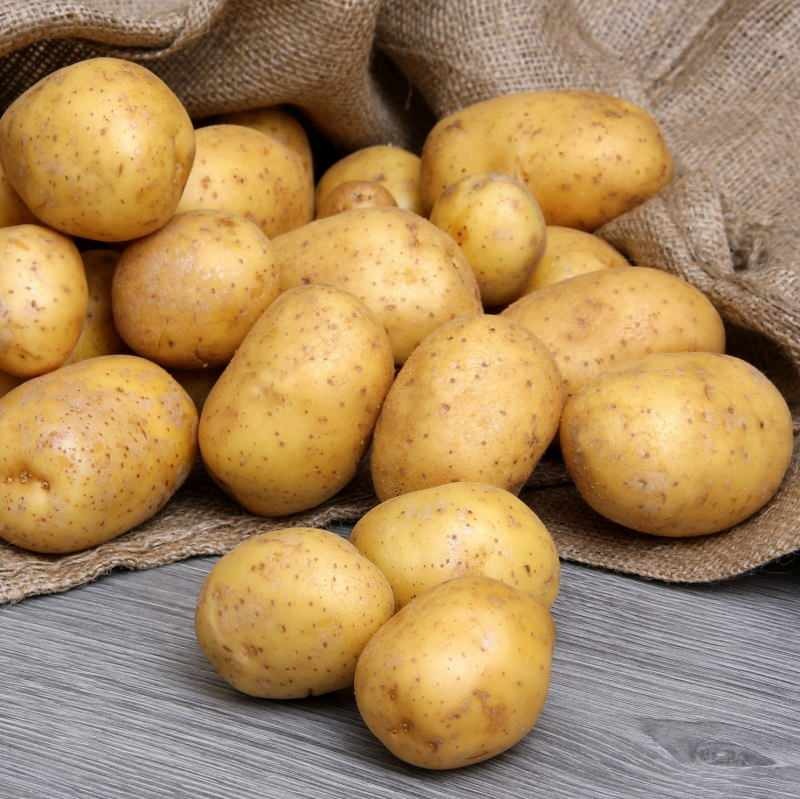 Jaka jest różnica między jadalnymi ziemniakami a frytkami