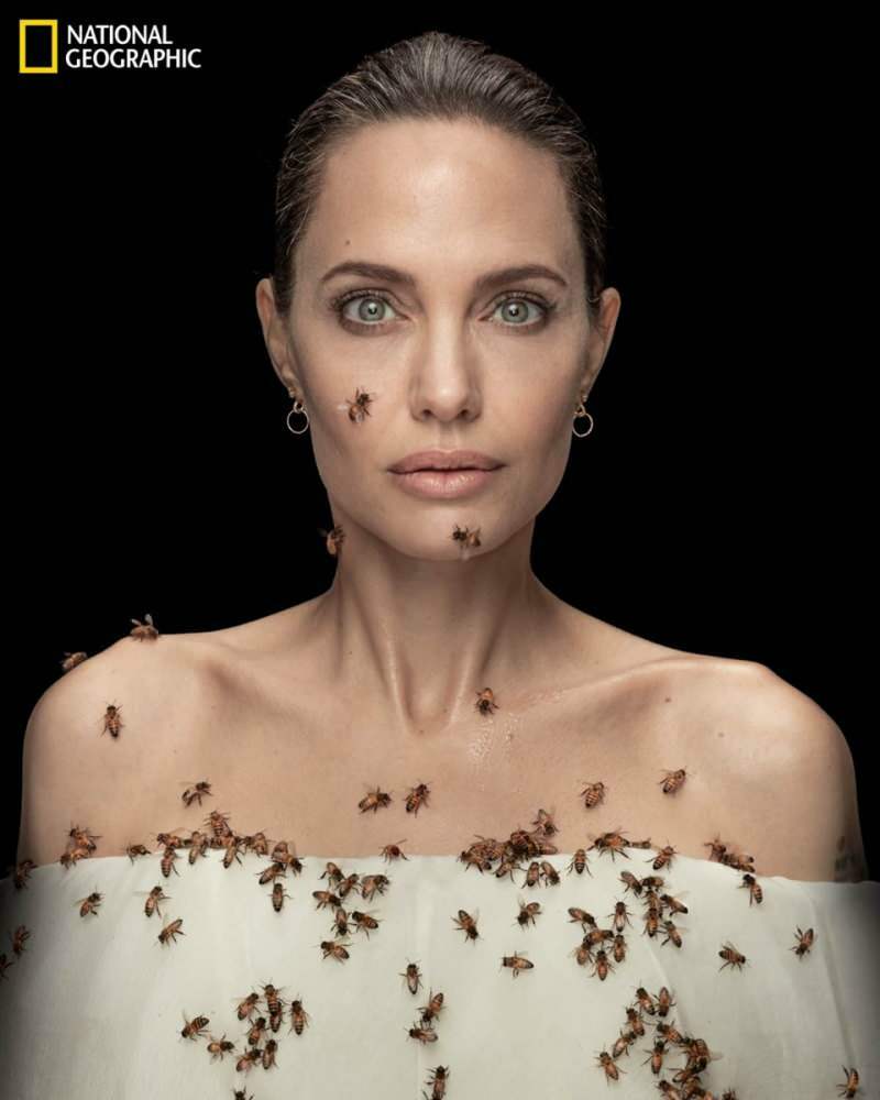 Angelina Jolie w obiektywie z pszczołami dla pszczół!