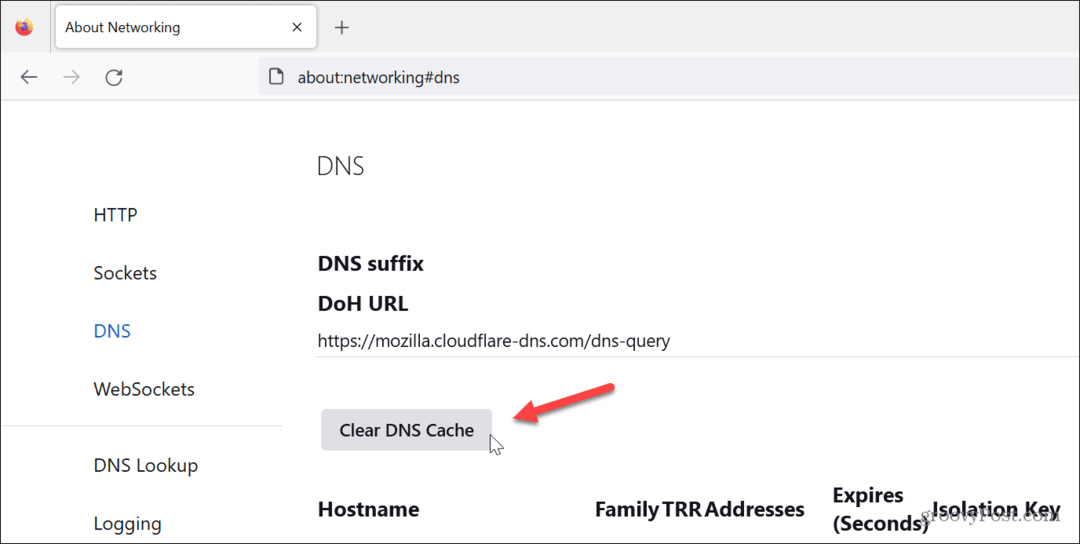 Opróżnij pamięć podręczną DNS 