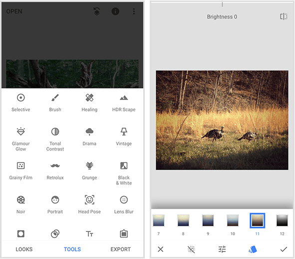 Menu Snapseed po lewej stronie pokazuje 20 różnych narzędzi, a przykład filtru Snapseed po prawej pokazuje plik zdjęcie dwóch dzikich indyków spacerujących w złotej trawie i menu filtrów u dołu ekranu telefonu komórkowego.