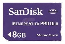 Karta pamięci Dandisk 8 GB