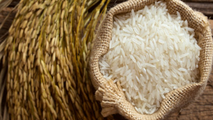 Jak rozumiany jest najlepszy ryż? 