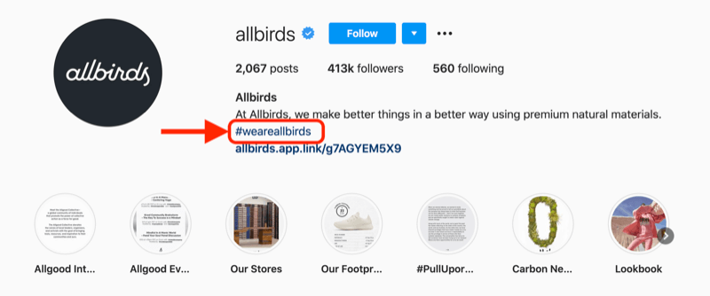 przykład hashtagu firmy zawarty w opisie profilu konta @allbirds na Instagramie