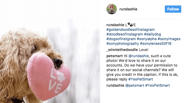 PetSmart przegląda różne hashtagi związane ze zwierzętami i prosi fanów o pozwolenie na wykorzystanie odpowiednich zdjęć w marketingu.