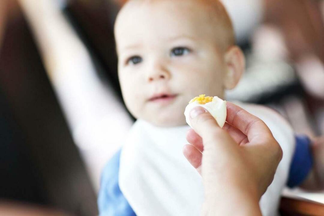 dziecko jedzące jajko