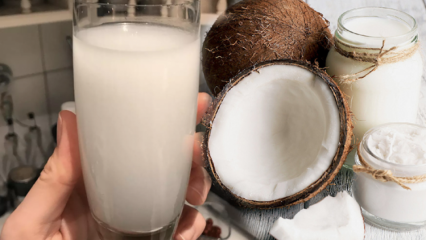 Co robi woda kokosowa? Jakie są zalety kokosa?