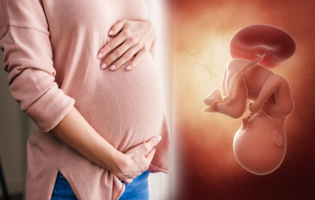 Jakie są objawy ciąży? Objawy wczesnej ciąży
